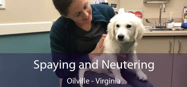 Spaying and Neutering Oilville - Virginia