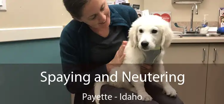 Spaying and Neutering Payette - Idaho