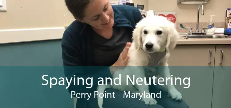 Spaying and Neutering Perry Point - Maryland