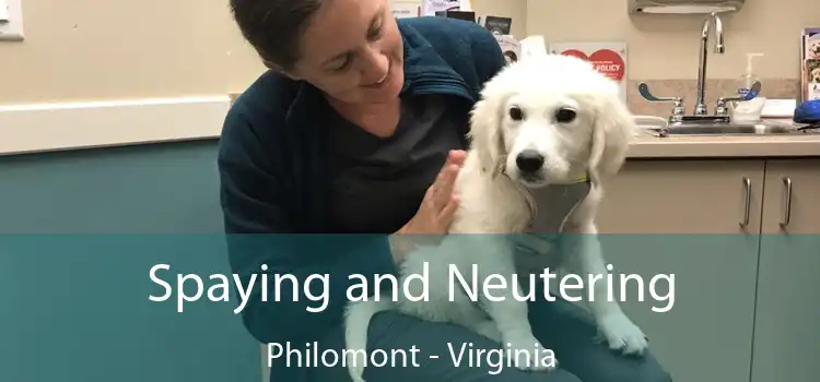 Spaying and Neutering Philomont - Virginia
