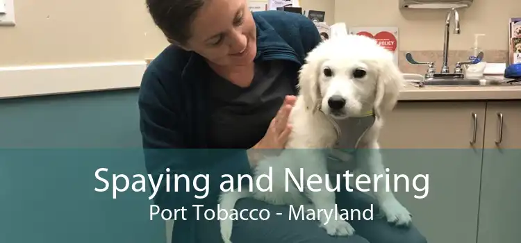 Spaying and Neutering Port Tobacco - Maryland