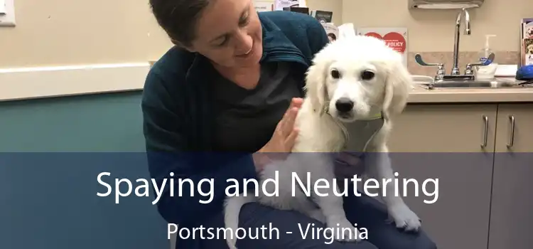 Spaying and Neutering Portsmouth - Virginia