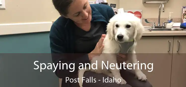 Spaying and Neutering Post Falls - Idaho