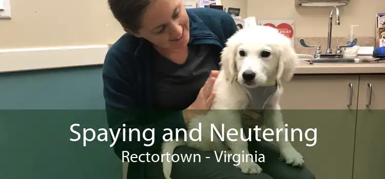 Spaying and Neutering Rectortown - Virginia