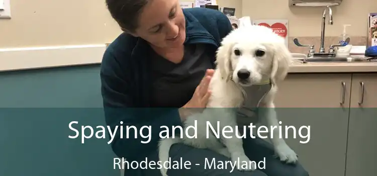 Spaying and Neutering Rhodesdale - Maryland