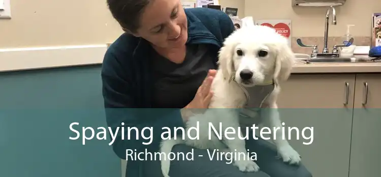 Spaying and Neutering Richmond - Virginia