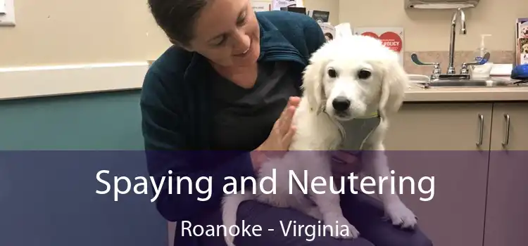 Spaying and Neutering Roanoke - Virginia