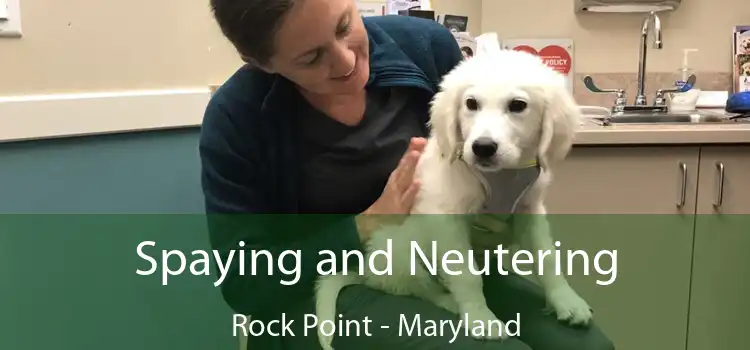 Spaying and Neutering Rock Point - Maryland