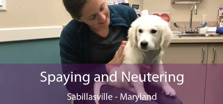Spaying and Neutering Sabillasville - Maryland