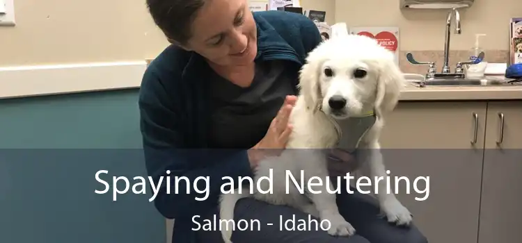 Spaying and Neutering Salmon - Idaho