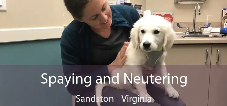 Spaying and Neutering Sandston - Virginia