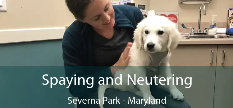 Spaying and Neutering Severna Park - Maryland