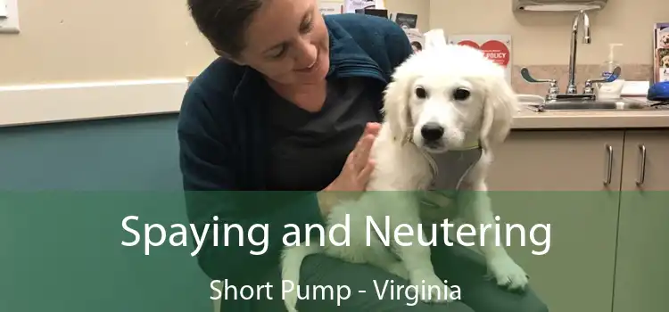 Spaying and Neutering Short Pump - Virginia
