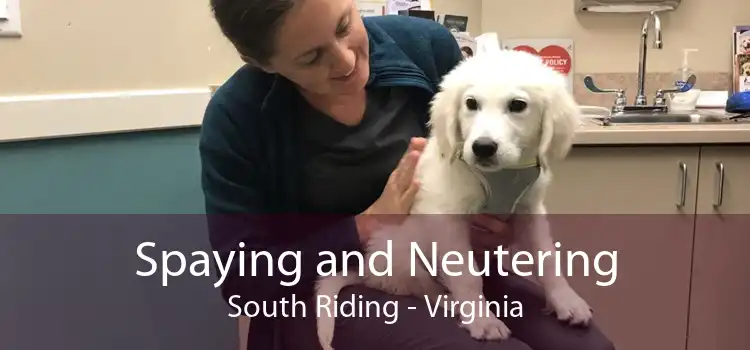 Spaying and Neutering South Riding - Virginia