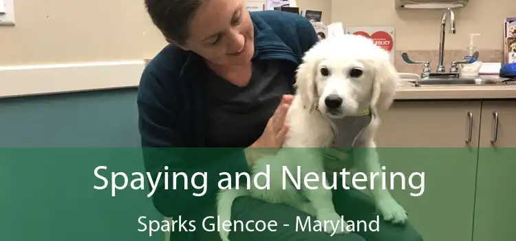 Spaying and Neutering Sparks Glencoe - Maryland