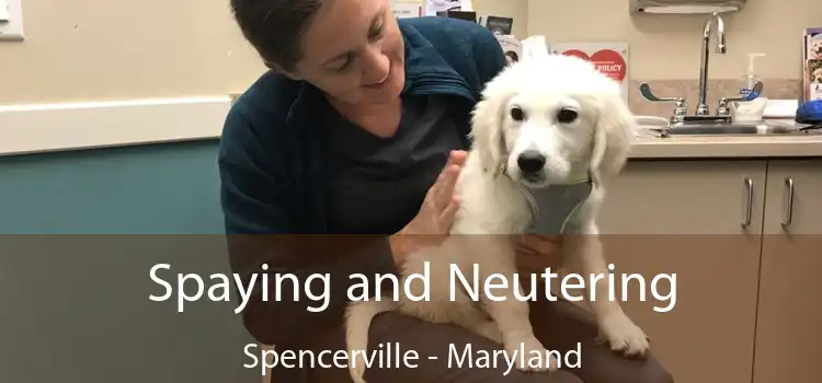 Spaying and Neutering Spencerville - Maryland
