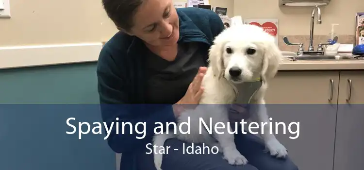 Spaying and Neutering Star - Idaho