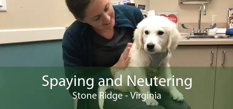Spaying and Neutering Stone Ridge - Virginia