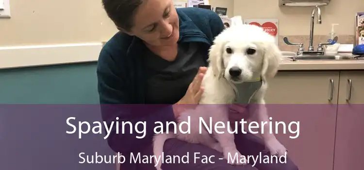 Spaying and Neutering Suburb Maryland Fac - Maryland