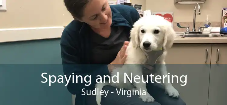 Spaying and Neutering Sudley - Virginia