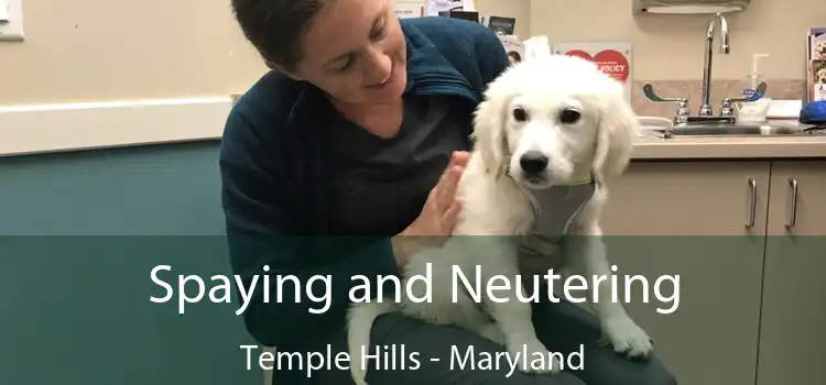 Spaying and Neutering Temple Hills - Maryland