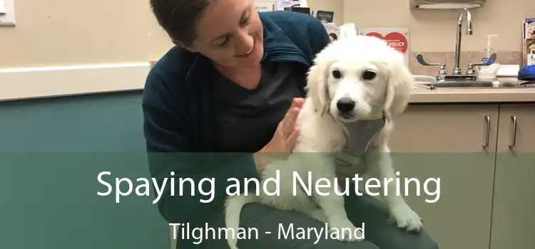 Spaying and Neutering Tilghman - Maryland