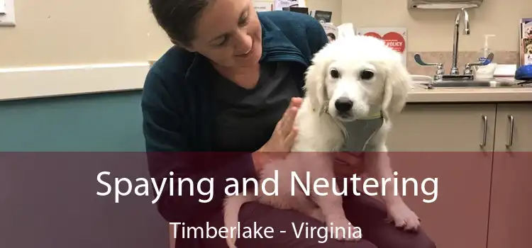 Spaying and Neutering Timberlake - Virginia