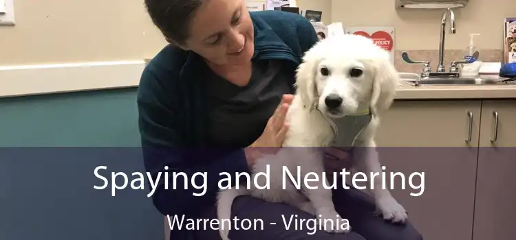 Spaying and Neutering Warrenton - Virginia