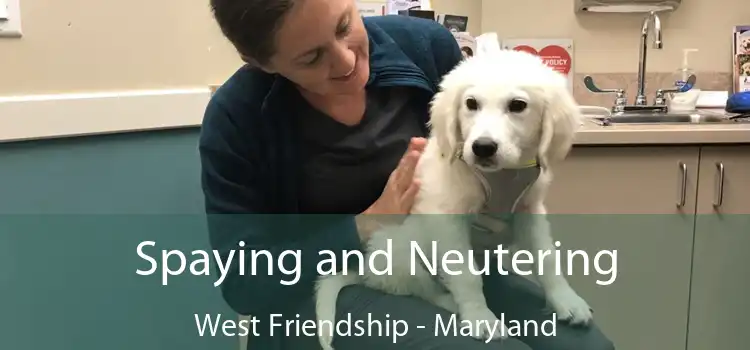 Spaying and Neutering West Friendship - Maryland