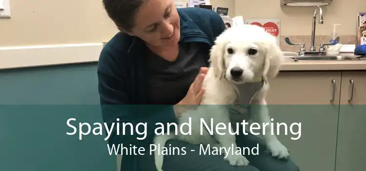 Spaying and Neutering White Plains - Maryland