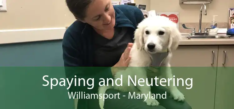 Spaying and Neutering Williamsport - Maryland