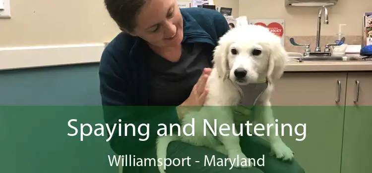 Spaying and Neutering Williamsport - Maryland