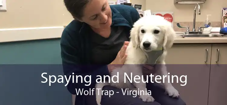 Spaying and Neutering Wolf Trap - Virginia
