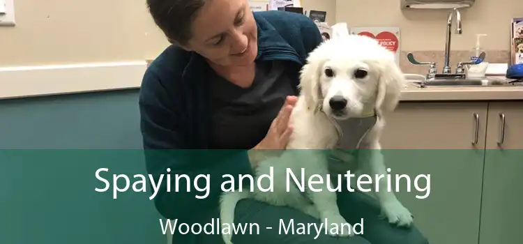 Spaying and Neutering Woodlawn - Maryland