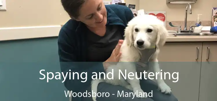 Spaying and Neutering Woodsboro - Maryland