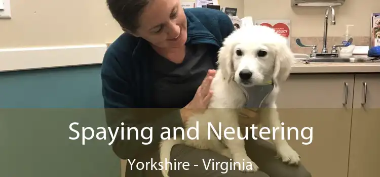 Spaying and Neutering Yorkshire - Virginia