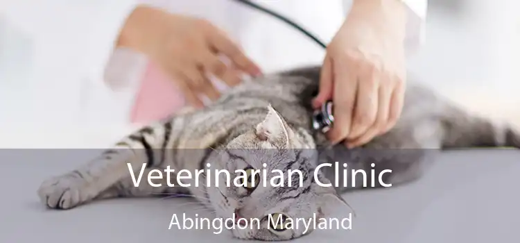 Veterinarian Clinic Abingdon Maryland