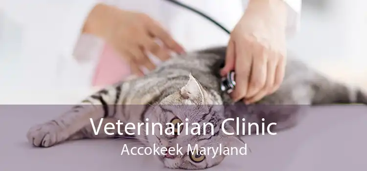 Veterinarian Clinic Accokeek Maryland