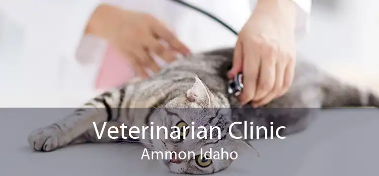Veterinarian Clinic Ammon Idaho