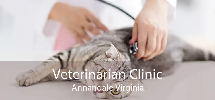 Veterinarian Clinic Annandale Virginia