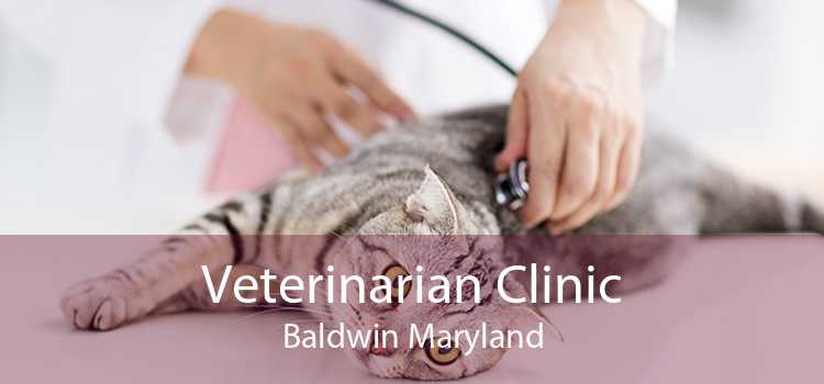 Veterinarian Clinic Baldwin Maryland