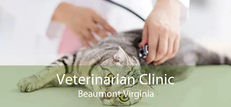 Veterinarian Clinic Beaumont Virginia