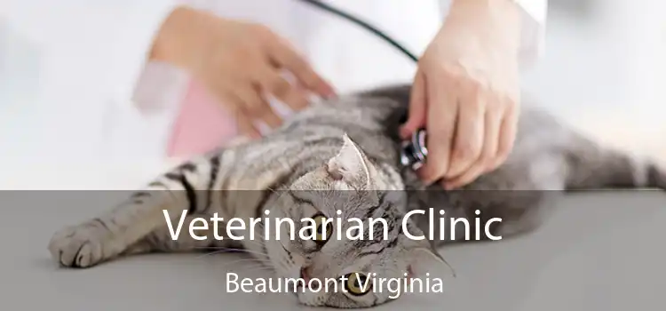 Veterinarian Clinic Beaumont Virginia