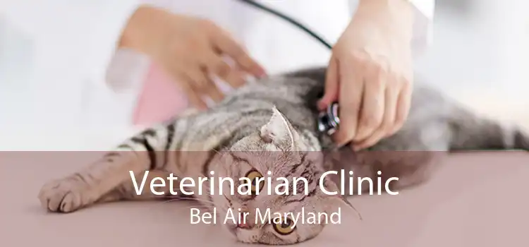 Veterinarian Clinic Bel Air Maryland