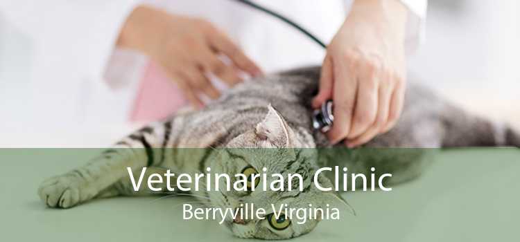 Veterinarian Clinic Berryville Virginia