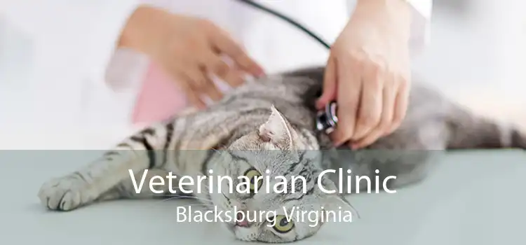 Veterinarian Clinic Blacksburg Virginia