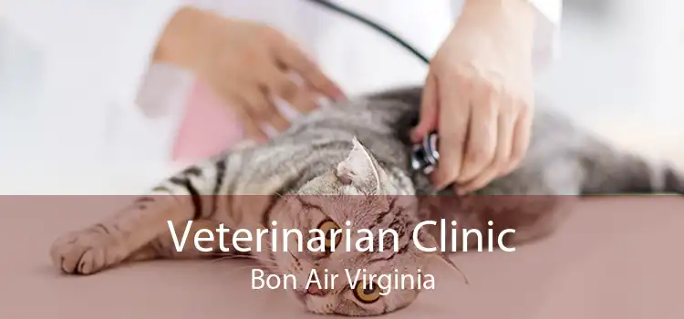 Veterinarian Clinic Bon Air Virginia