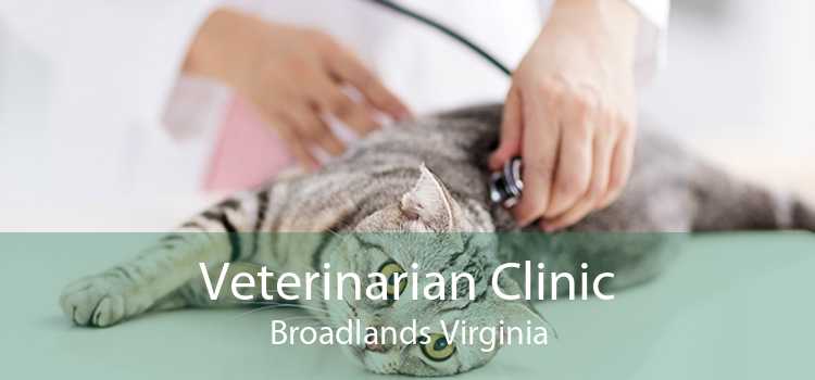 Veterinarian Clinic Broadlands Virginia