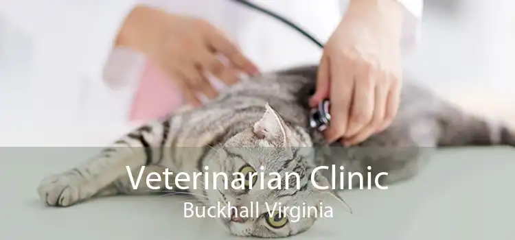 Veterinarian Clinic Buckhall Virginia