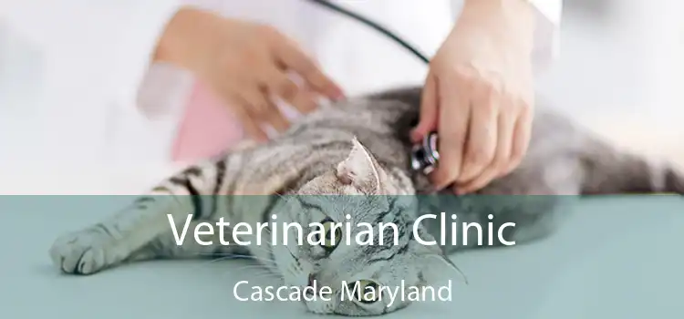 Veterinarian Clinic Cascade Maryland